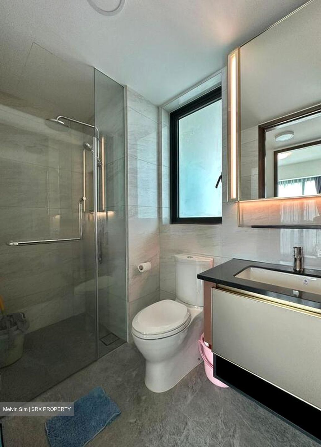 Normanton Park (D5), Apartment #476174061